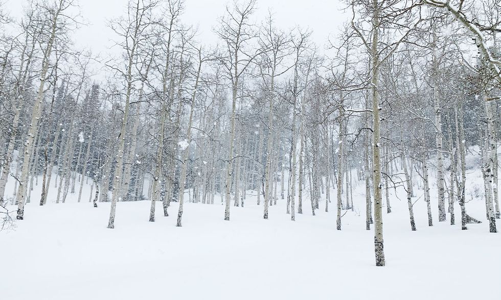 Skidområde utan liftar öppnar i Colorado - helt fokuserat på topptur