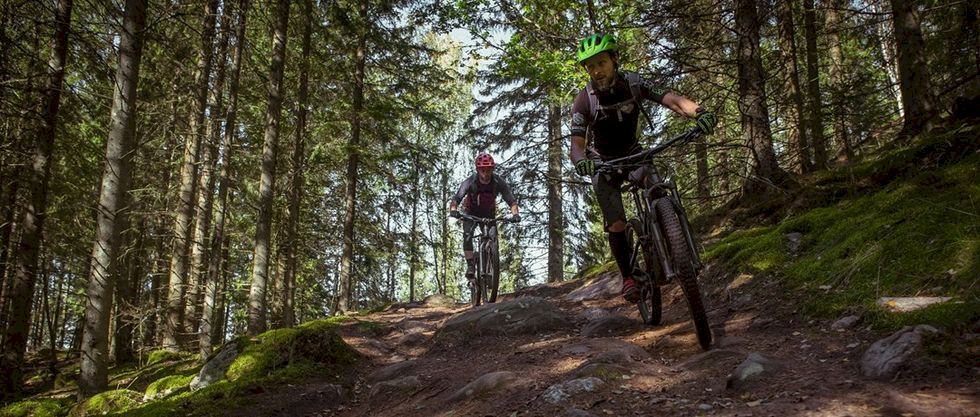 Ta liften och cykla i sommar - 10 bike parks i Sverige