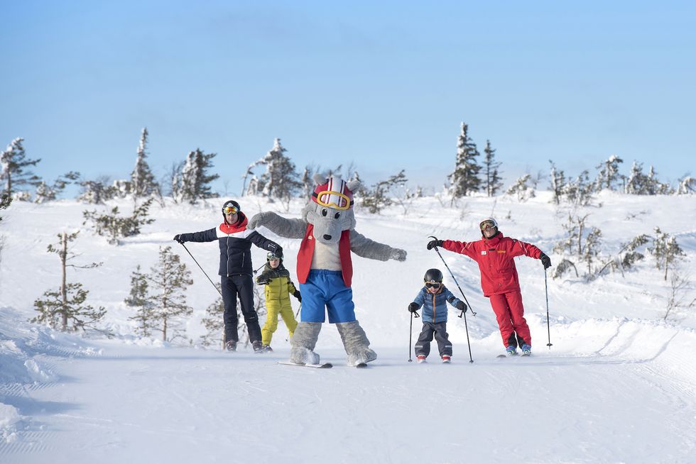 Stöten är årets skidanläggning 2019