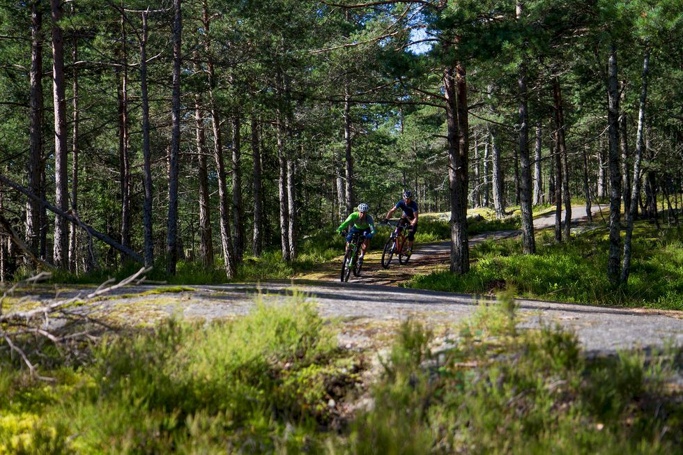 Här finns Stockholms bästa mountainbiketurer