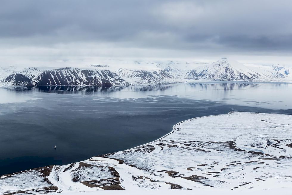 Skidåkning på Svalbard – som en björnkram