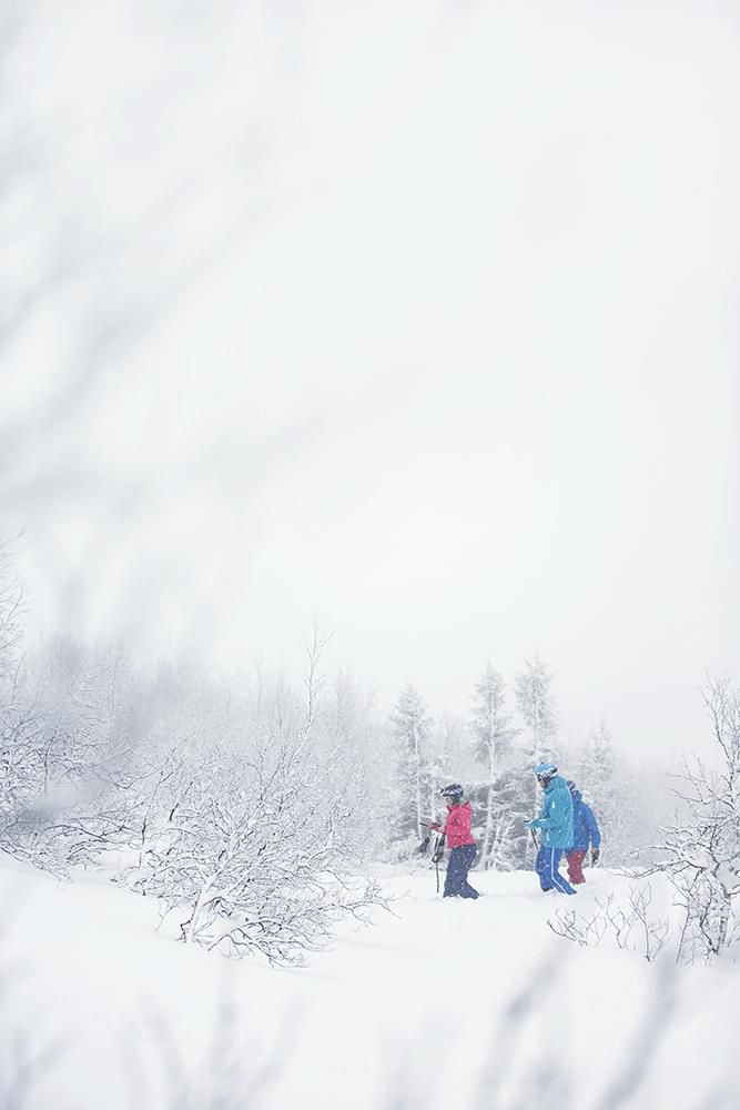 Succé för Åka Skidor Ski Camp