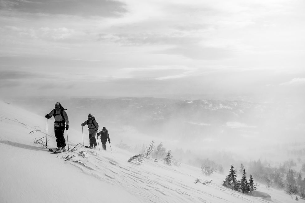 Skidtest 2020: De bästa skidorna för topptur